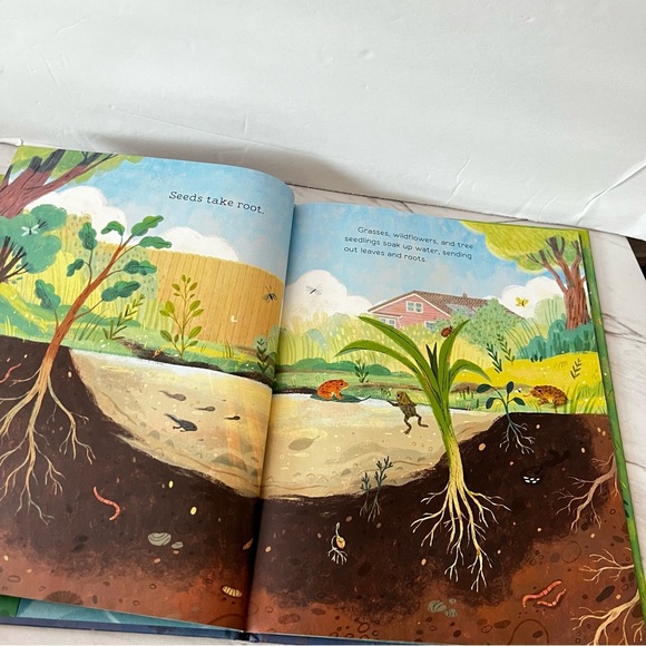 Hello Puddle! Hard Book Cover By Anita Sanchez Kids - Picture 4 of 9